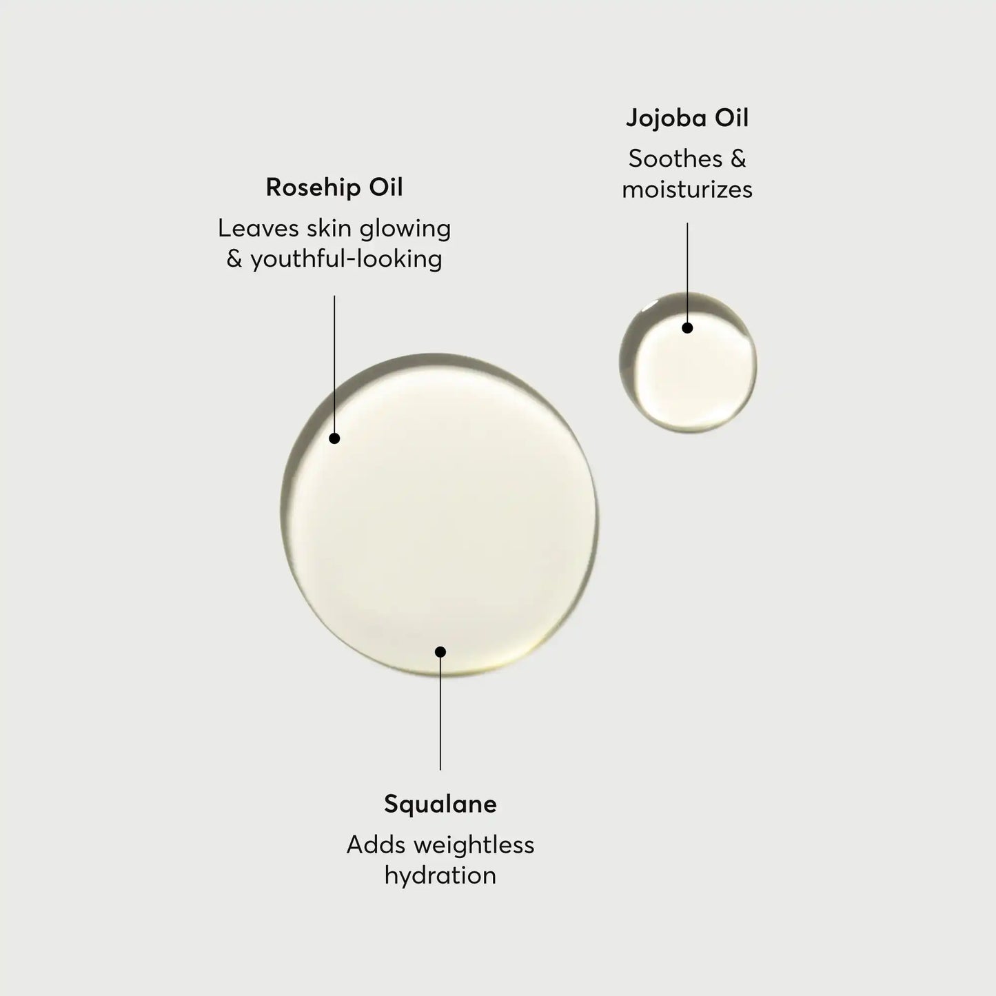 the-glow-getter-body-oil-i5 NATR-10115-Alt-Images-The-Glow-Getter-Body-Oil-01.webp