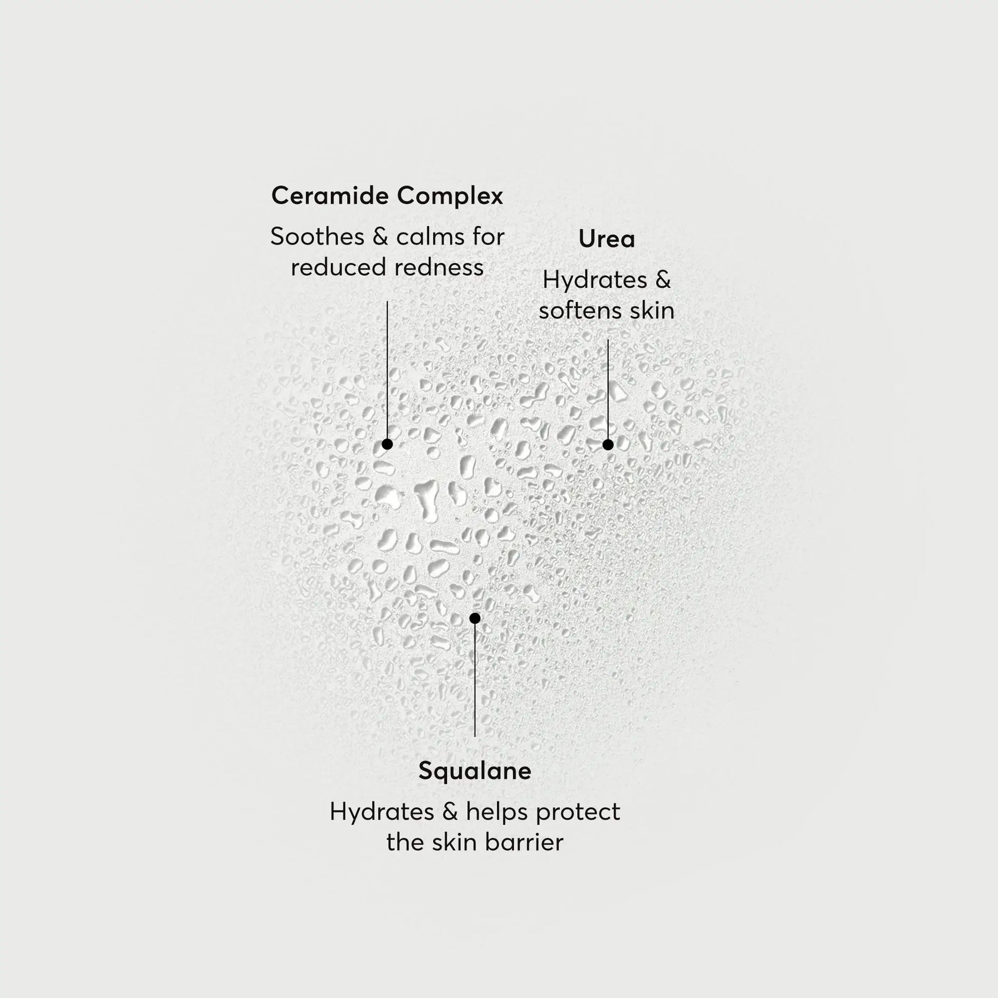 barrier-bounce-bi-phase-mist-b4 NATR-10167-Alt-Images-Barrier-Bounce-Bi-Phase-Toner-Mist_01.webp